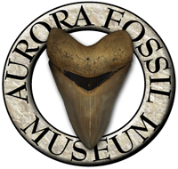 Aurora Fossil Museum - Historic Albemarle Tour