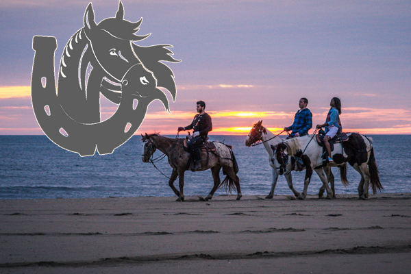 Virginia Beach and OBX Horseback Riding Tours