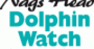Outer Banks Dolphin Watch and Nature Tours Outer Banks Dolphin Watch and Nature Tours