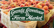 Grandys Farm Market Grandys Farm Market