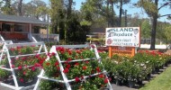Manteo Island Produce and Garden Manteo Island Produce and Garden