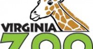 Virginia Zoo in Norfolk Virginia Zoo in Norfolk