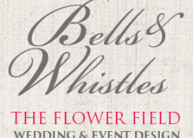 Bells and Whistles Wedding Ideas