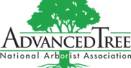Advanced Tree Service Advanced Tree Service