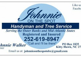 Outer Banks Tree Service Experts