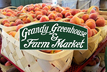 Grandys Farm Market