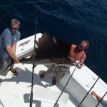 Catch and release Sailfish from the West Wind on the Outer Banks NC, Oregon Inlet Nags Head