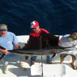 Catch and release from the West Wind on the Outer Banks NC, Oregon Inlet Nags Head