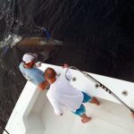 Gulfstream Charter OBX