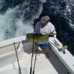 Yellowfin Tuna Fishing on the West Wind Charter Outer Banks NC, Oregon Inlet Nags Head