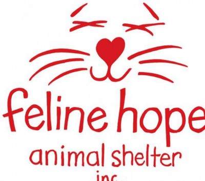 Feline Hope Kitty Hawk, NC No Kill Animal Shelter