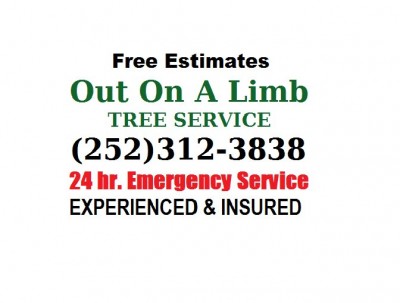 Out On A Limb Tree Service, Elizabeth City