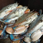 Fresh Crabs at Simply Southern Kitchen